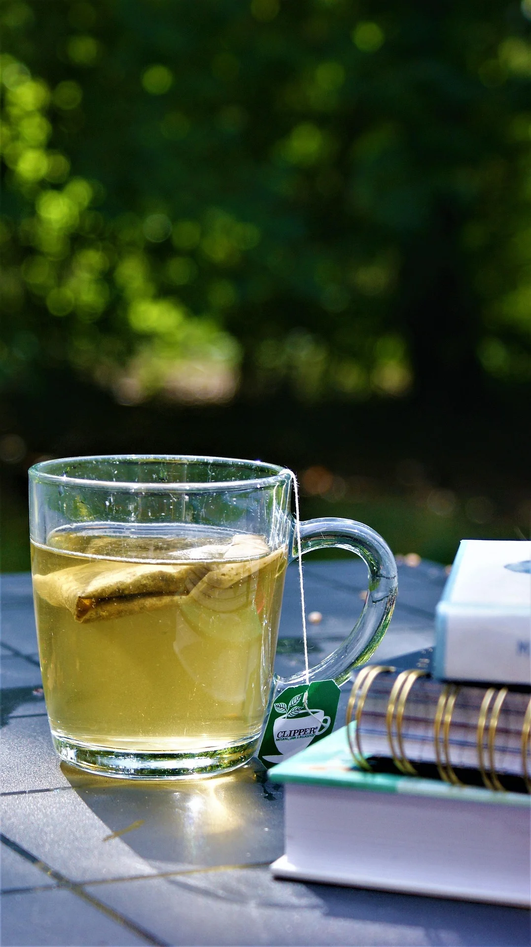 La Manzanilla es Relajante: Por Qué Funciona y Cómo Aprovecharla al Máximo